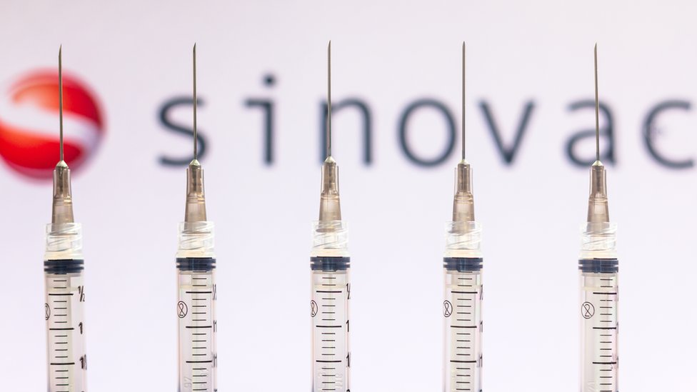 Turkey launches Chinese vaccine drive despite concerns 6