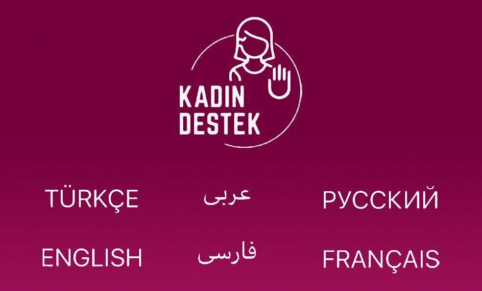 Kurdish not among 6 languages supported by app to be used against domestic violence 2