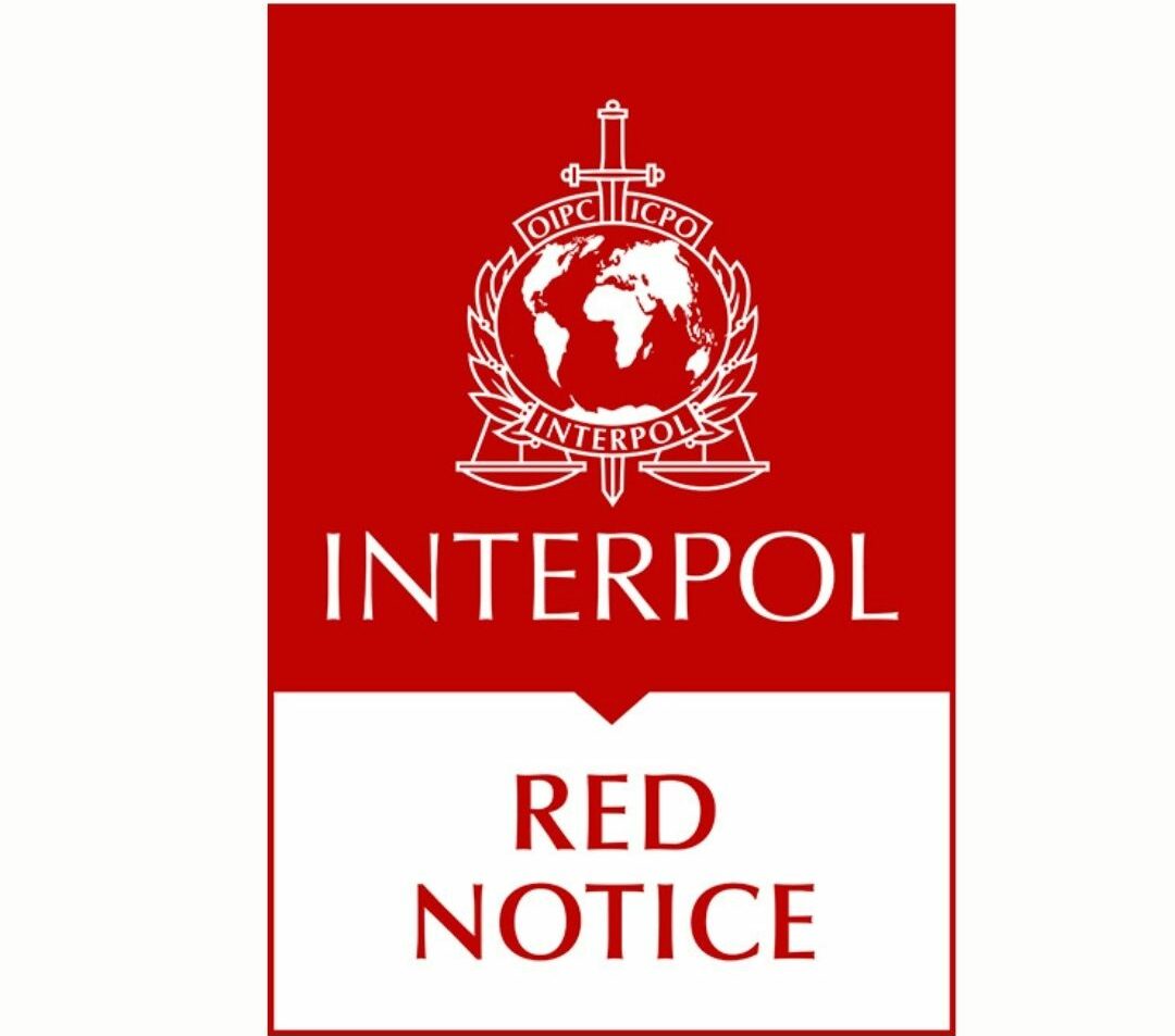 INTERPOL denied 773 Red Notice requests by Turkey for individuals with alleged links to Gülen movement 1