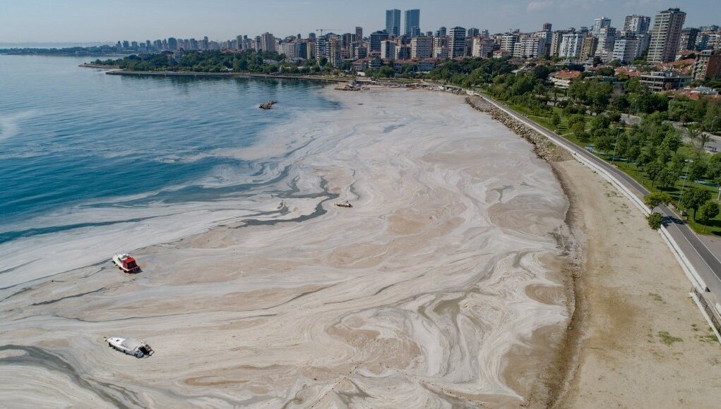 AKP’s profit-driven policies result in ‘sea snot’ outbreak in Turkey’s Sea of Marmara 1