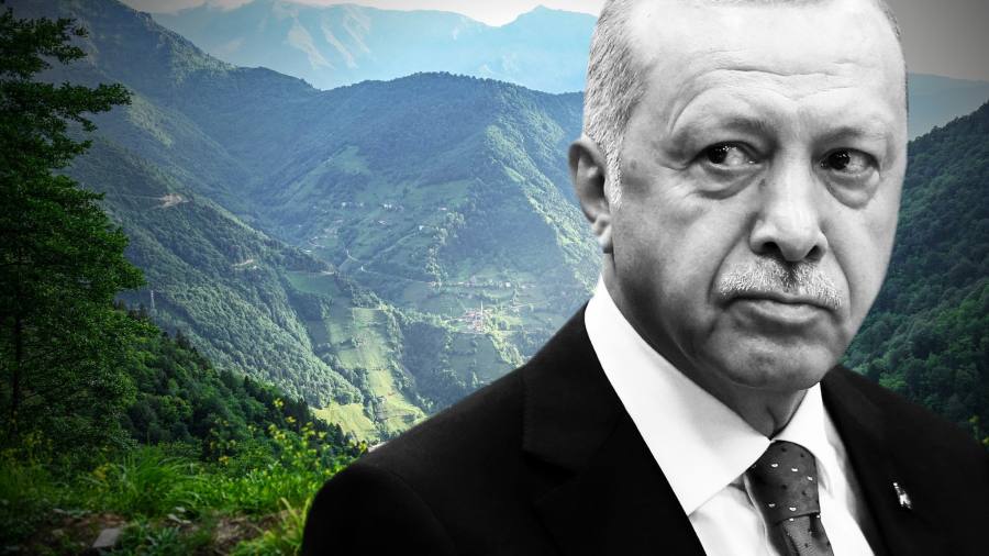 Economic slide sends support for Erdogan to all-time low 1