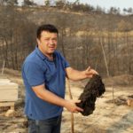 Devastated by wildfires, Turkey's beekeepers see grim future 1