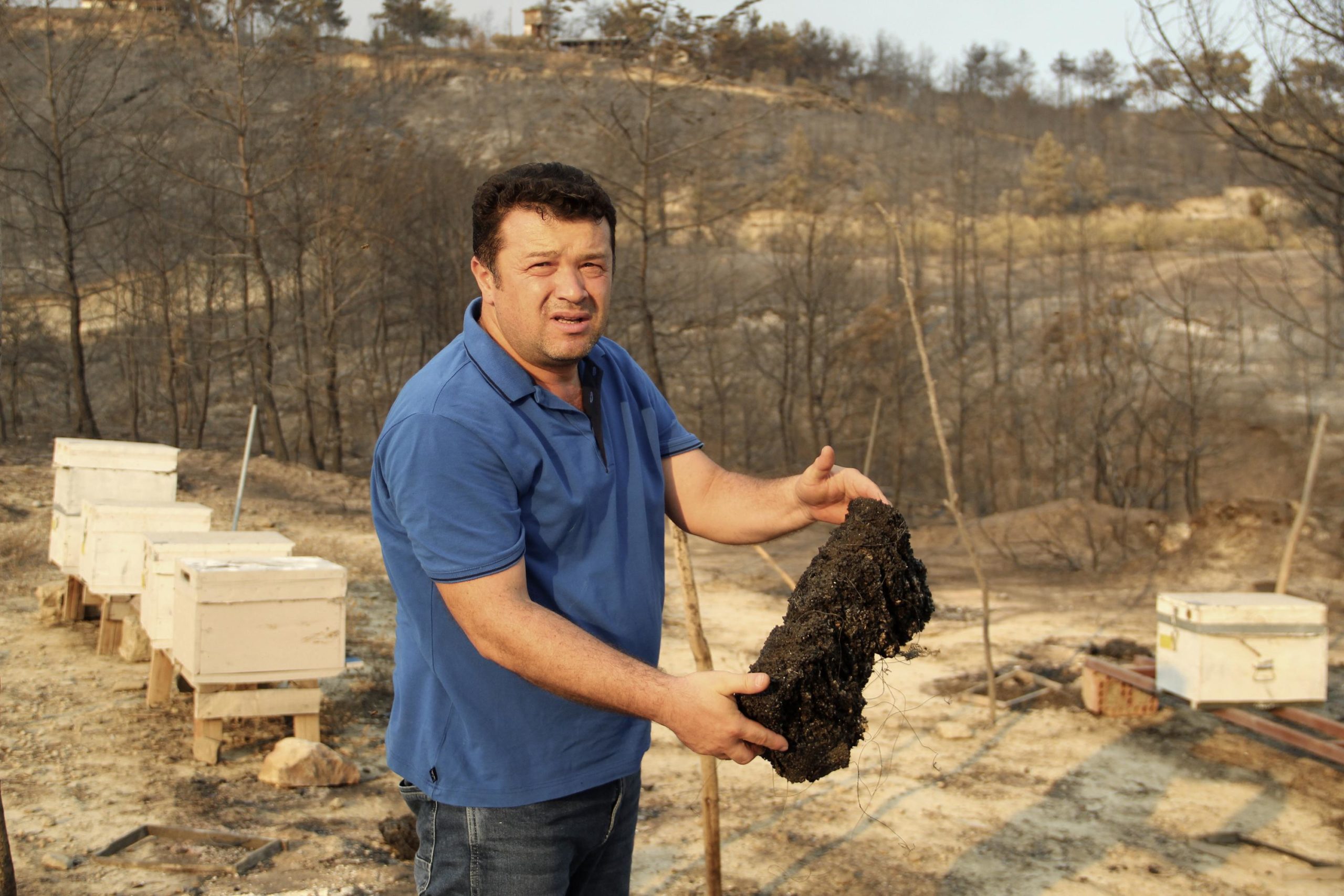 Devastated by wildfires, Turkey's beekeepers see grim future 81
