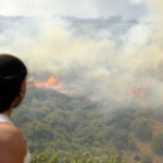 Uproar in Algeria after man wrongly accused of starting forest fires is murdered