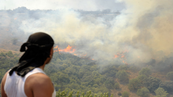 Uproar in Algeria after man wrongly accused of starting forest fires is murdered