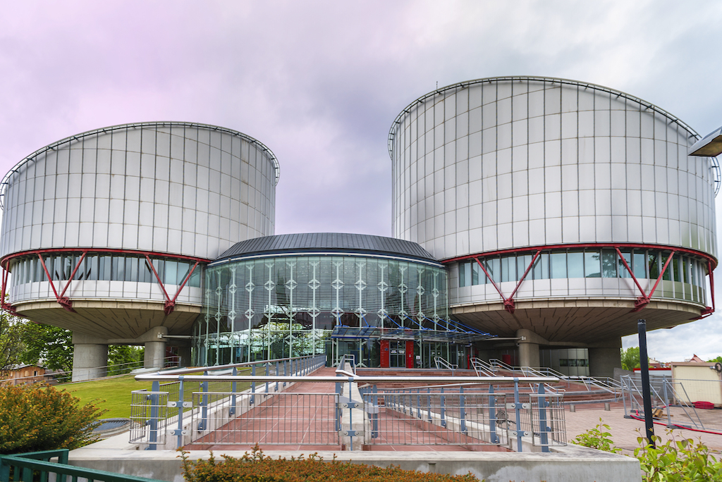 Cases of Turkish journalists before ECtHR drag on as they languish in jail: report 1