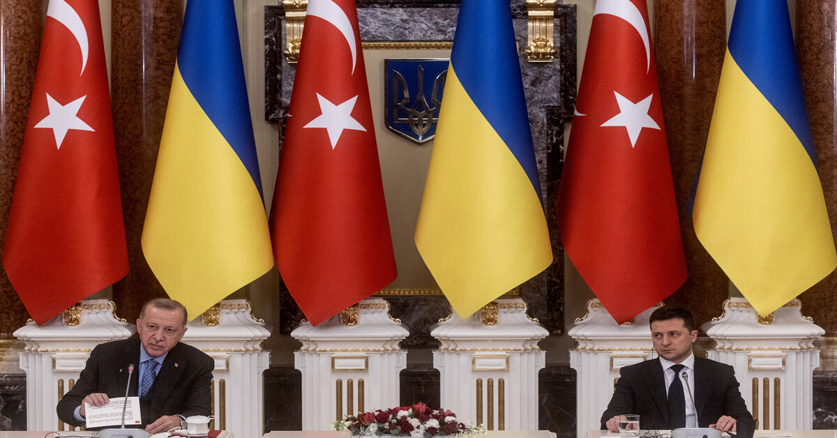 Erdogan stuck on fence in Ukraine crisis