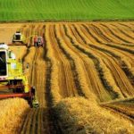 Turkey’s declining agricultural performance causes concerns amid Russia-Ukraine crisis 1