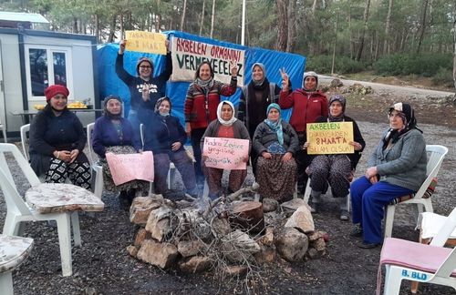 Energy company wants villagers to cut down their olive groves in İkizköy