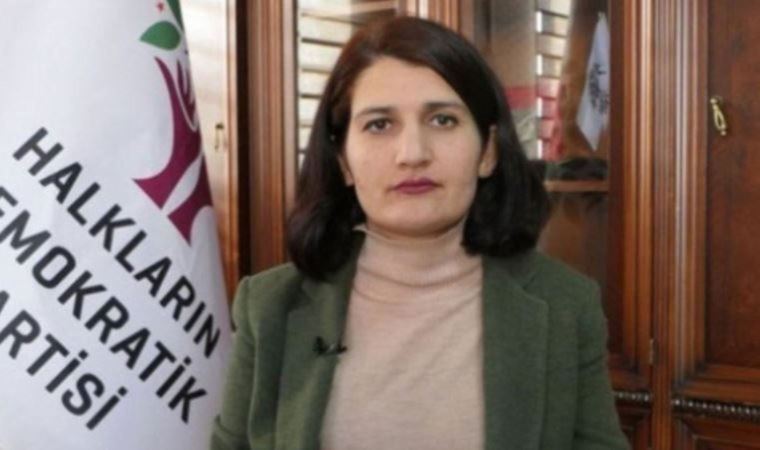 Top court rejects pro-Kurdish-party MP’s petition to reverse decision lifting her immunity 1