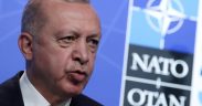 Erdogan says Turkey not supportive of Finland, Sweden joining NATO 29