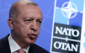 Erdogan says Turkey not supportive of Finland, Sweden joining NATO 79