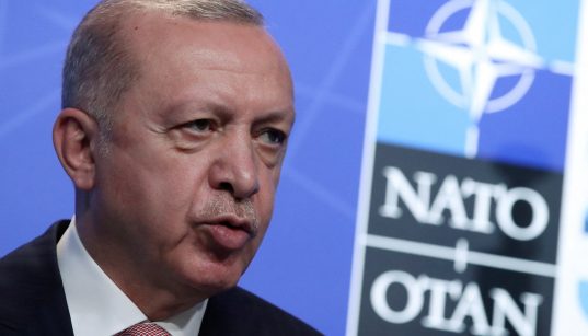 Erdogan says Turkey not supportive of Finland, Sweden joining NATO 38