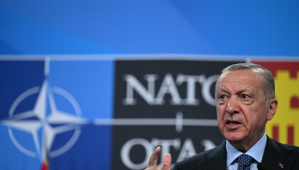 Erdogan warns Turkey may still block Nordic NATO drive 125