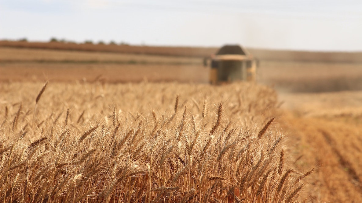 US accused of smuggling tons of grain from Syria 4