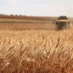 Turkey to host Russia, Ukraine, UN for talks on grain exports