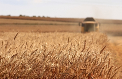 Turkey to host Russia, Ukraine, UN for talks on grain exports