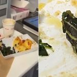 Snake head found in plane food on Turkish airline 1