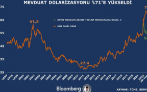 Dollarisation in Turkey smashing records 89