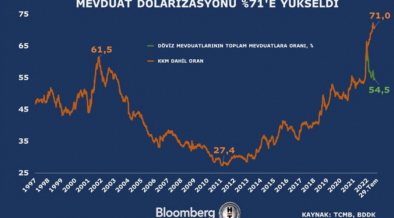 Dollarisation in Turkey smashing records 41