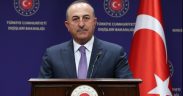 Turkish FM says Schengen visa delays intentional, will take countermeasures 15