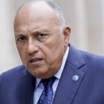 Egyptian FM says dialogue with Turkey stopped over Libya 2