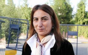"Health of Aysel Tugluk further deteriorated": HDP deputy 34