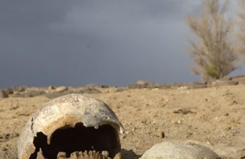 Human bones coming ashore in river in eastern Türkiye where thousands killed in 1930