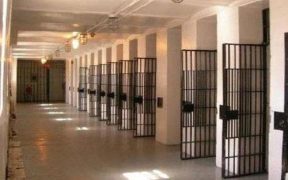 Seventy-three prisoners died in Türkiye's prisons in a year