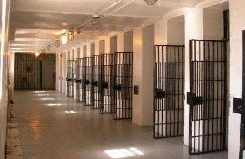 Seventy-three prisoners died in Türkiye's prisons in a year