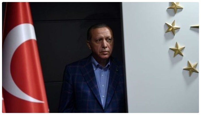 Erdoğan on the Brink 1