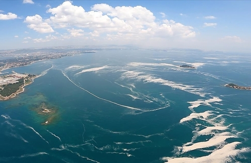 Experts warn of impending 'disaster' in Marmara Sea due to oxygen depletion