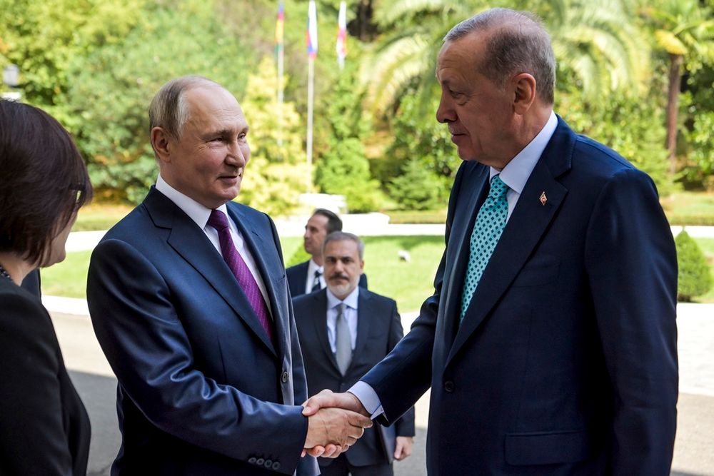 Erdogan’s Putin Meeting Was More About Damage Control Than Grain 1