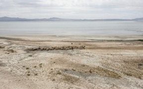 Recession continues in Turkey's largest lake